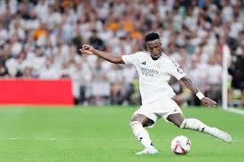 能够收获爱 能够收获爱